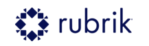 Rubrik technology partner logo